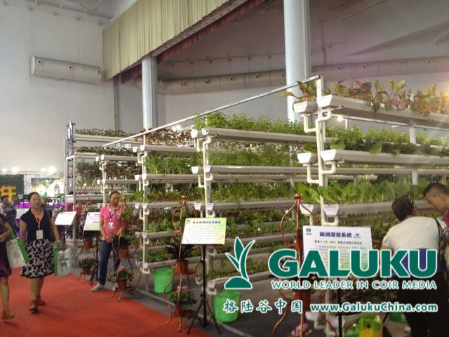2013-08-07 格陆谷参加赤峰中国北方农业科技成果博览会
