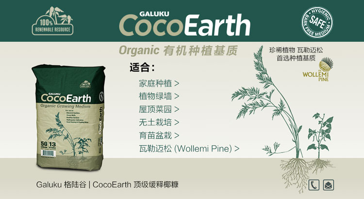 cocoearth1-750px