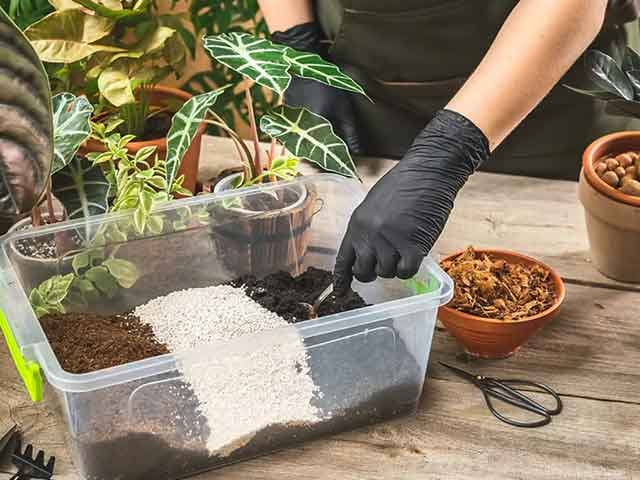 椰糠种植热植入门介绍